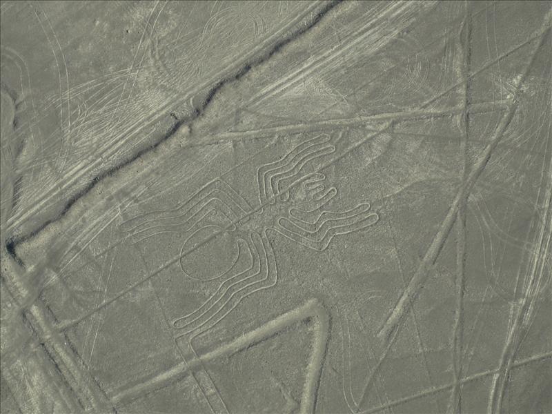 Nasca Lines - Spider.jpg