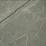 Nasca Lines - Spider.jpg