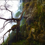 Polska Skakavitsa Waterfall