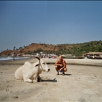 ARAMBOL, GOA