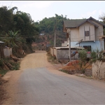 P2062446.JPG