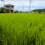 P1010428.jpg