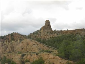 IMG_3491.JPG