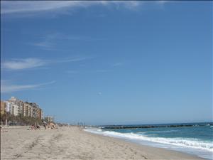IMG_3389.JPG