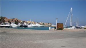 DSC01464.JPG