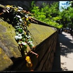 DSC_0913.JPG