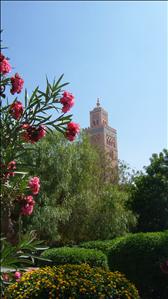 DSCF5612.JPG