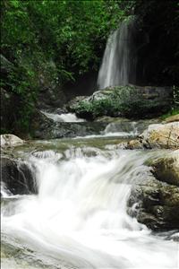 DSC_0430_1296x1936.JPG