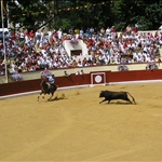 .. followed by the picador..