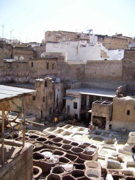 FES