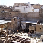 FES