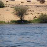 Rieke_felucca_IMG_0821.JPG