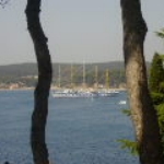 02764857.jpg