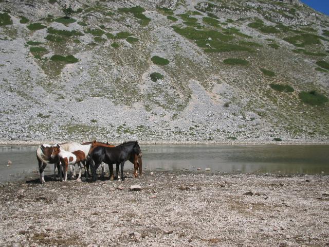 lago della duchessa con rik - 31.08.08 (40).jpg