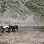 lago della duchessa con rik - 31.08.08 (40).jpg