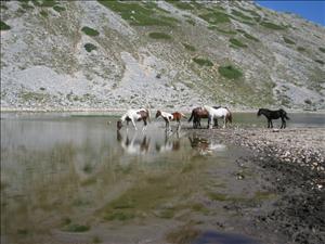 lago della duchessa con rik - 31.08.08 (47).jpg