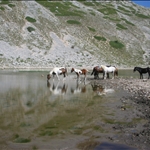 Lago della Duchessa 2008