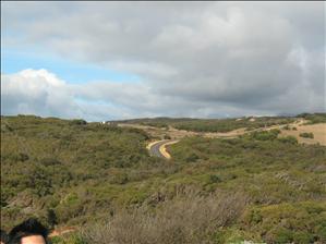 Road in Bells Beach