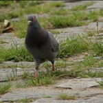 IMG_2792.JPG