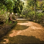 Mai Chau