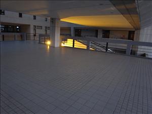 nEO_IMG_R0012277.jpg
