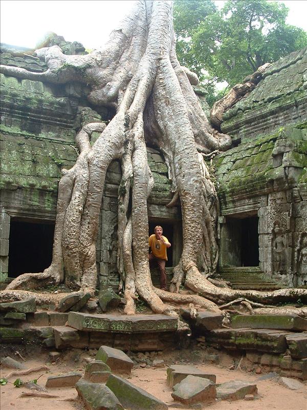 Tom - Ta Phrom3.jpg