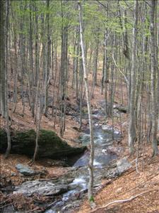 alpi apuane 063.jpg