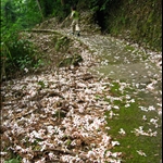 IMG 051.jpg