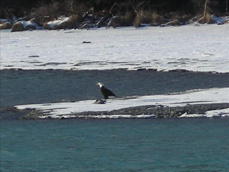 kenai lake 024.JPG