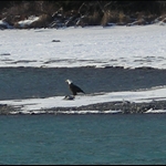 kenai lake 024.JPG
