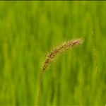 P1010431.jpg