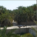 Egypte - 29juli09 - Siwa Woestijntrip en Springs