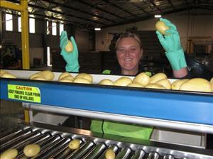 Me working very hard