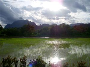 Nature (Laos)