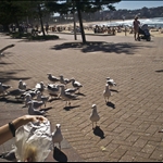 Sydney, March 2007