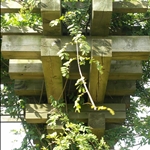 20090826_27.jpg