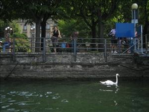lago di como 062.jpg