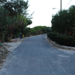 DSC_4266.JPG