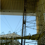 uy (23).JPG