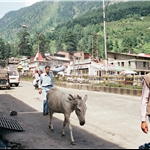 new Manali