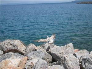 argentario con Aleksandra (18).jpg
