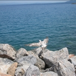 argentario con Aleksandra (18).jpg