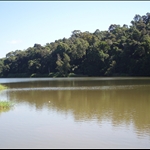 Kuranda