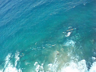 Hang gliding over Byron Bay.AVI