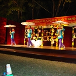 Umbrella show
