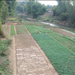 P2062445.JPG