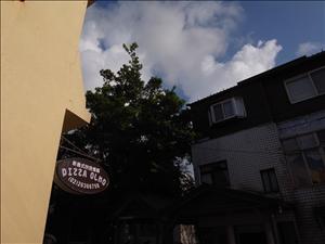 R0012425.jpg
