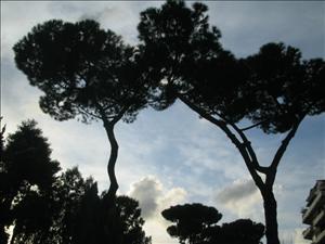 colosseo (7).jpg