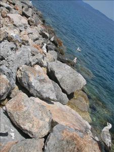 argentario con Aleksandra (20).jpg