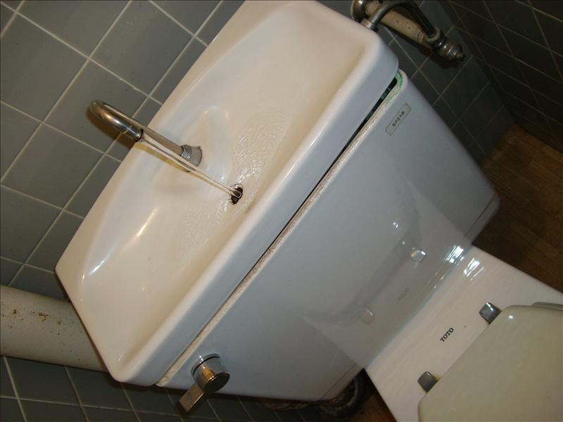 wash your hands